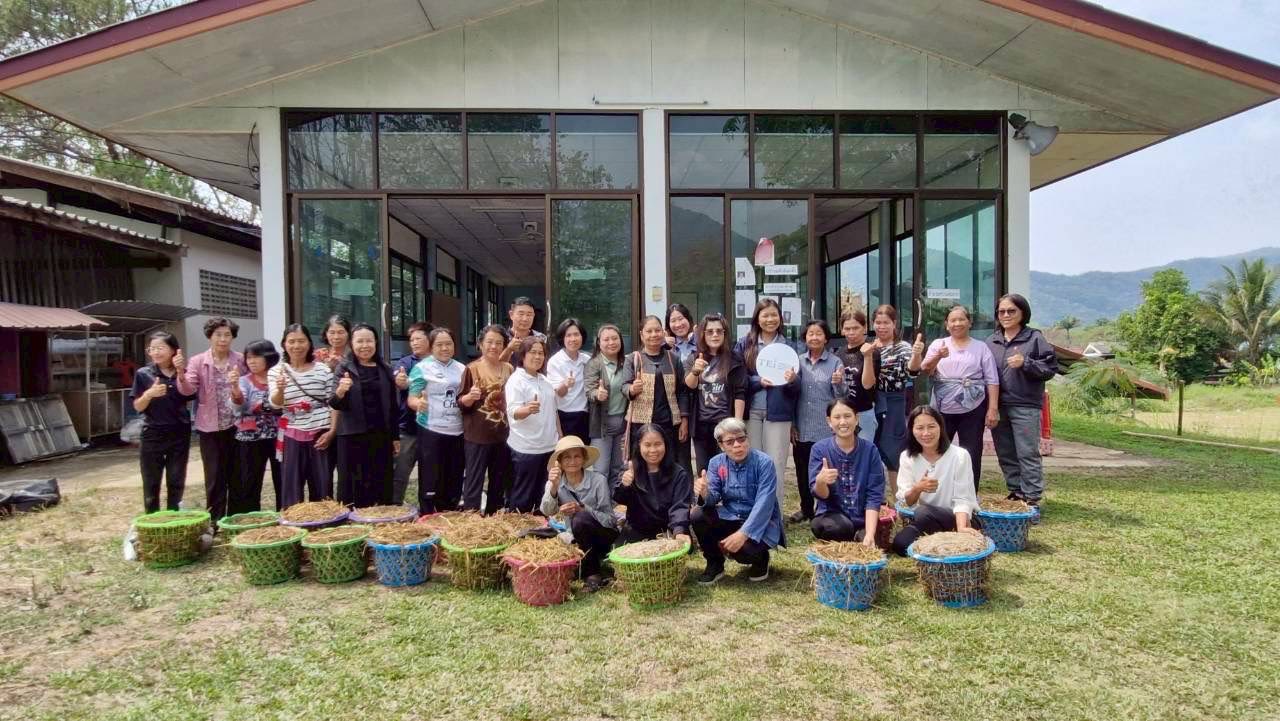 พช.เทิง จัดโครงการพัฒนาอาชีพเพาะเห็ดฟางและเห็ดโคนปลวกในตะกร้า เพื่อลดการเผาวัสดุทางการเกษตร และยกระดับคุณภาพชีวิตชุมชนอย่างยั่งยืน อำเภอเทิง จังหวัดเชียงราย ณ บ้านเอียน หมู่ที่ 14  ตำบลหงาวอำเภอเทิง  จังหวัดเชียงรายพช.เทิง จัดโครงการพัฒนาอาชีพเพาะเห็ดฟางและเห็ดโคนปลวกในตะกร้า เพื่อลดการเผาวัสดุทางการเกษตร และยกระดับคุณภาพชีวิตชุมชนอย่างยั่งยืน อำเภอเทิง จังหวัดเชียงราย ณ บ้านเอียน หมู่ที่ 14  ตำบลหงาวอำเภอเทิง  จังหวัดเชียงราย